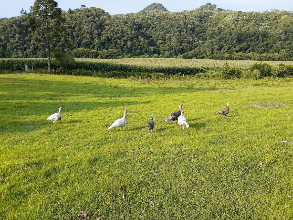 Fazenda Tamandua Casa De Campo - Cabana Coragem Villa Rio Rufino Eksteriør bilde